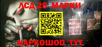 ALPHA PVP Гай