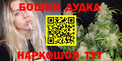 ALPHA PVP Гай
