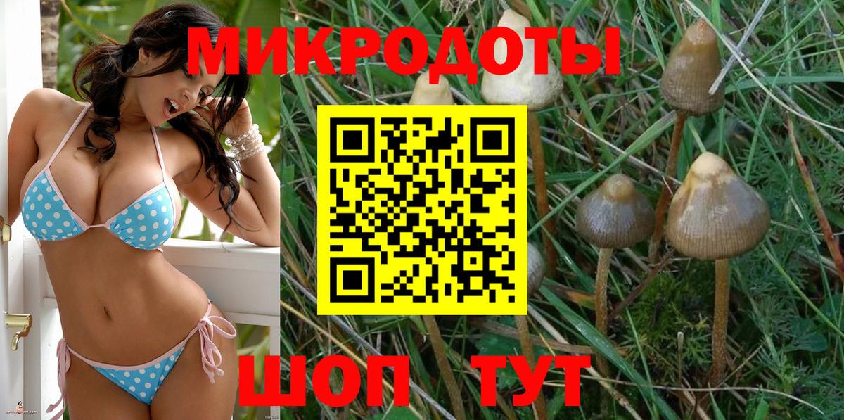 Псилоцибиновые грибы Magic Shrooms  Вход с VPN  Набережные Челны 